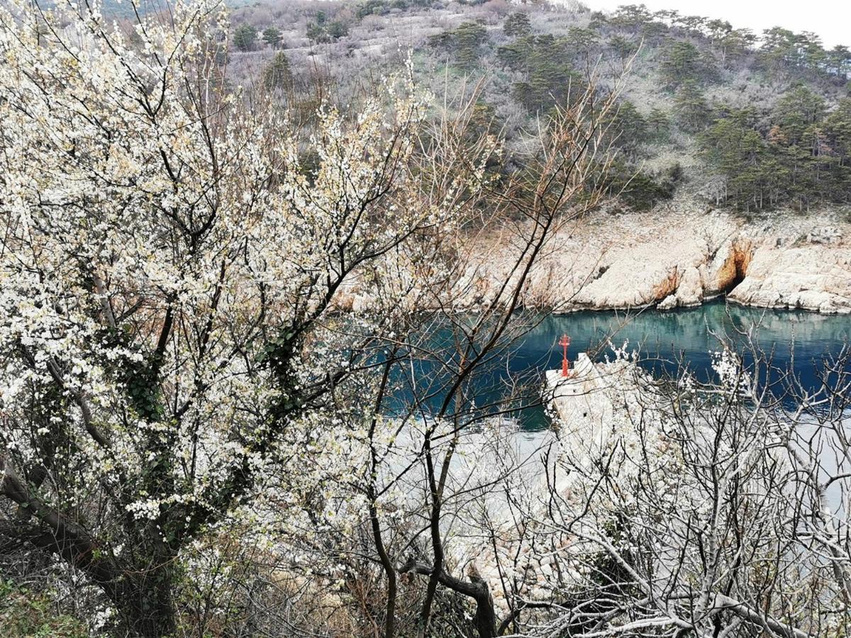 Vila Verbana Apartments Vrbnik  Bagian luar foto